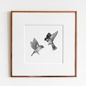 House Sparrows (Passer domesticus) Art Print