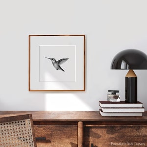 Ruby Throated Hummingbird Art Print Bird Print Ornithology art Scientific Illustration image 2