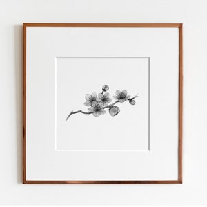 Cherry Blossoms Art Print image 1