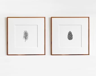 White Spruce Art Print set | Botanical print collection | Diptych Wall Art