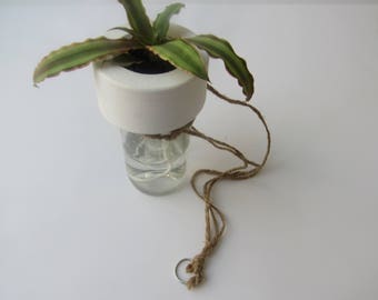 Upcycled Minimalist Wine Bottle Cement Twine Hanging Planter: Self-Watering