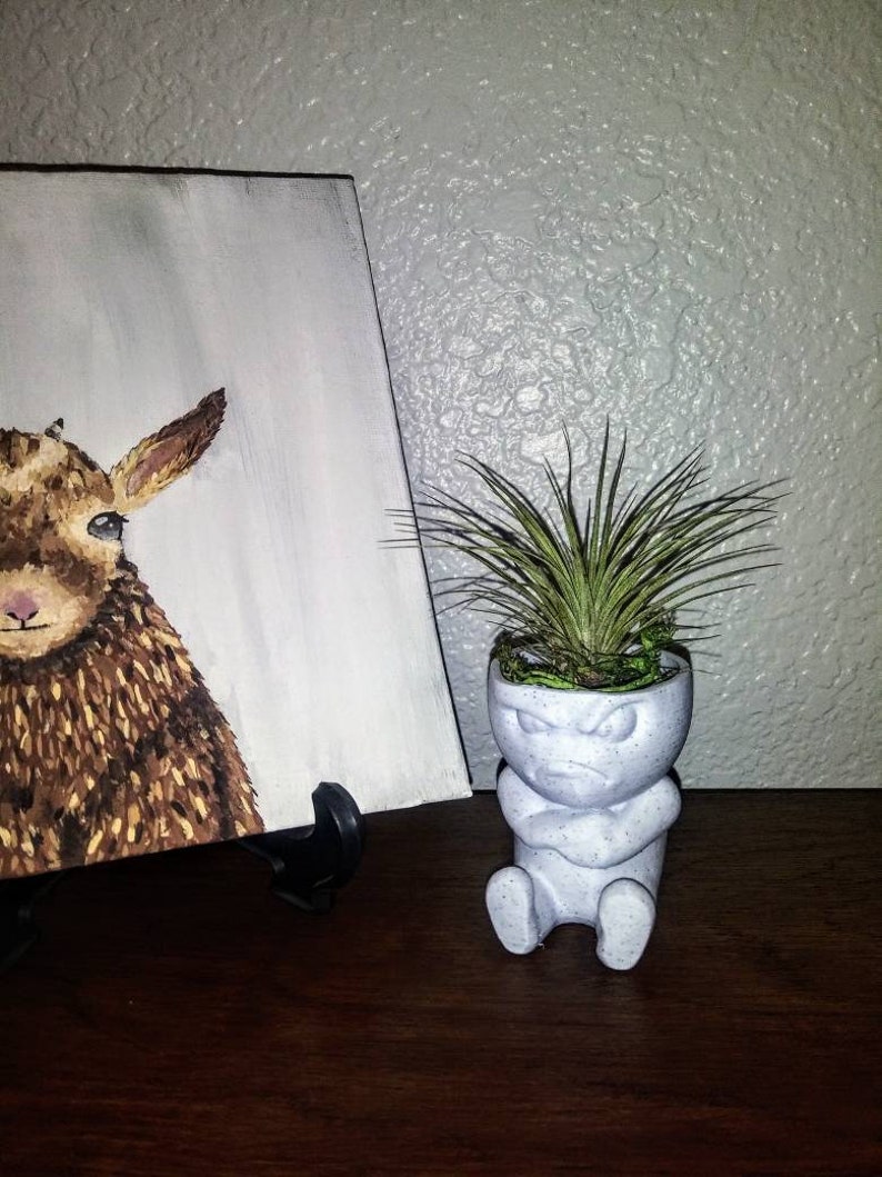 Air Plant Mini Planter 3d Printed Grumpy Egg Succulent Flower Etsy