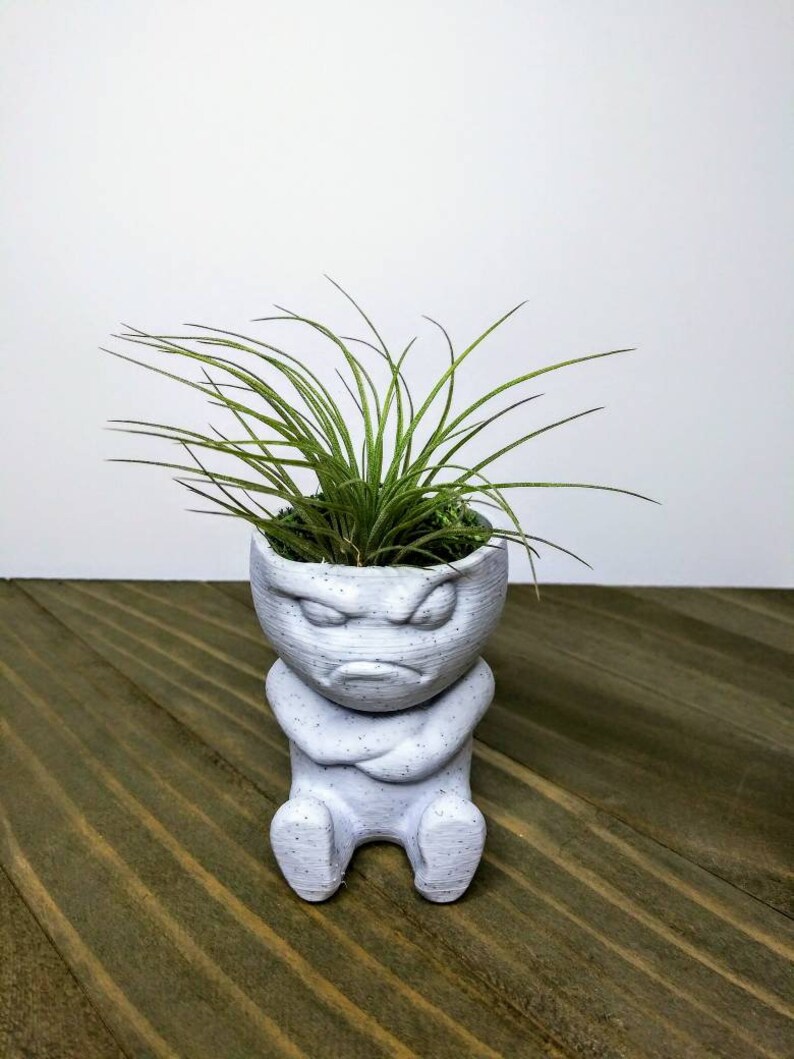 Air Plant Mini Planter 3d Printed Grumpy Egg Succulent Flower Etsy