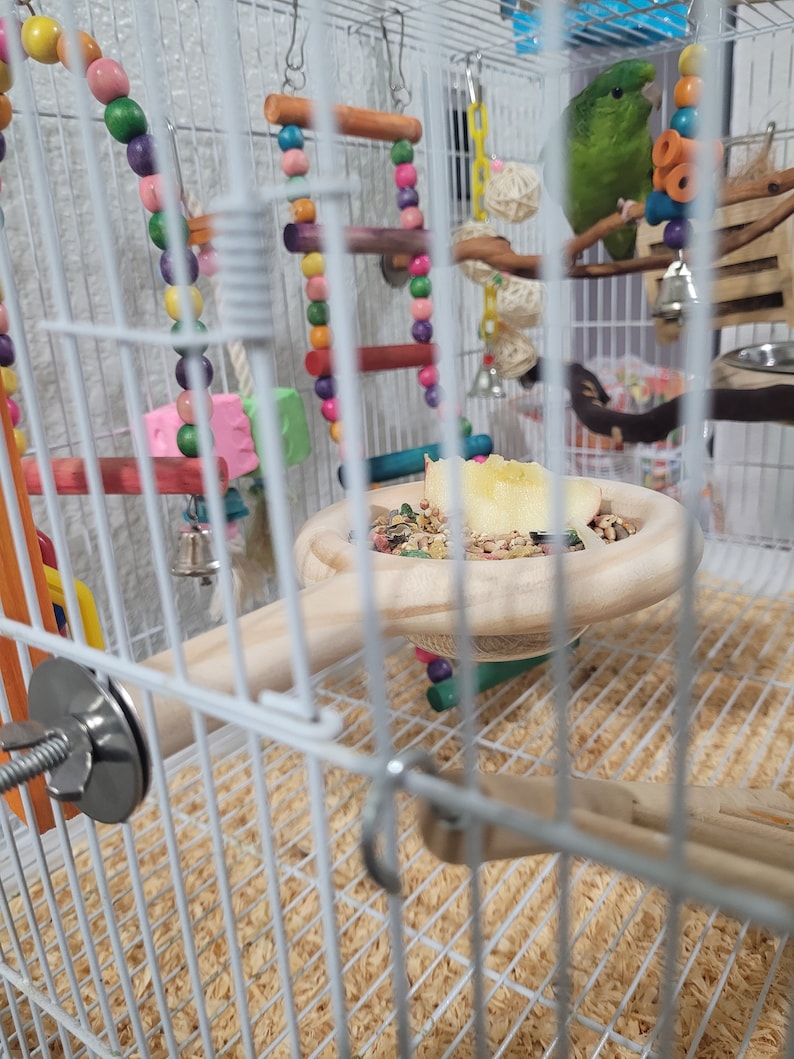 Small Bird Cage Perch: Pine Wood Snack Feeder with Stainless Steel Bowl bild 3