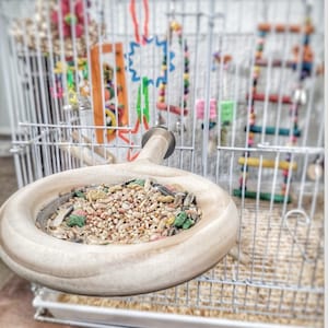 Small Bird Cage Perch: Pine Wood Snack Feeder with Stainless Steel Bowl bild 2