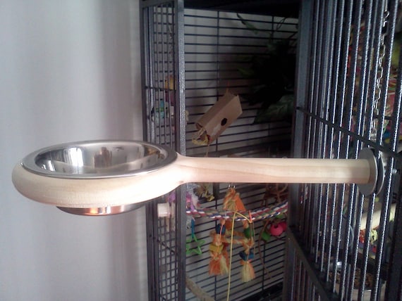 Bird Feeder Dish For Parrots And Sugar Gliders Bird Toys Etsy