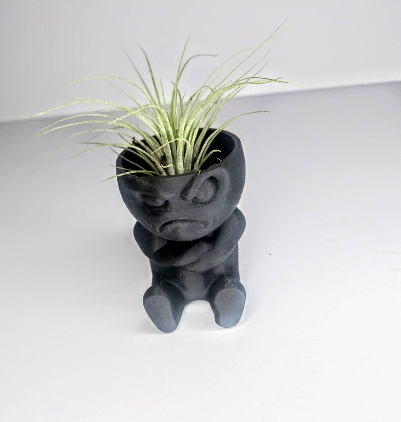 Air plant mini planter 3d printed grumpy egg succulent flower Etsy