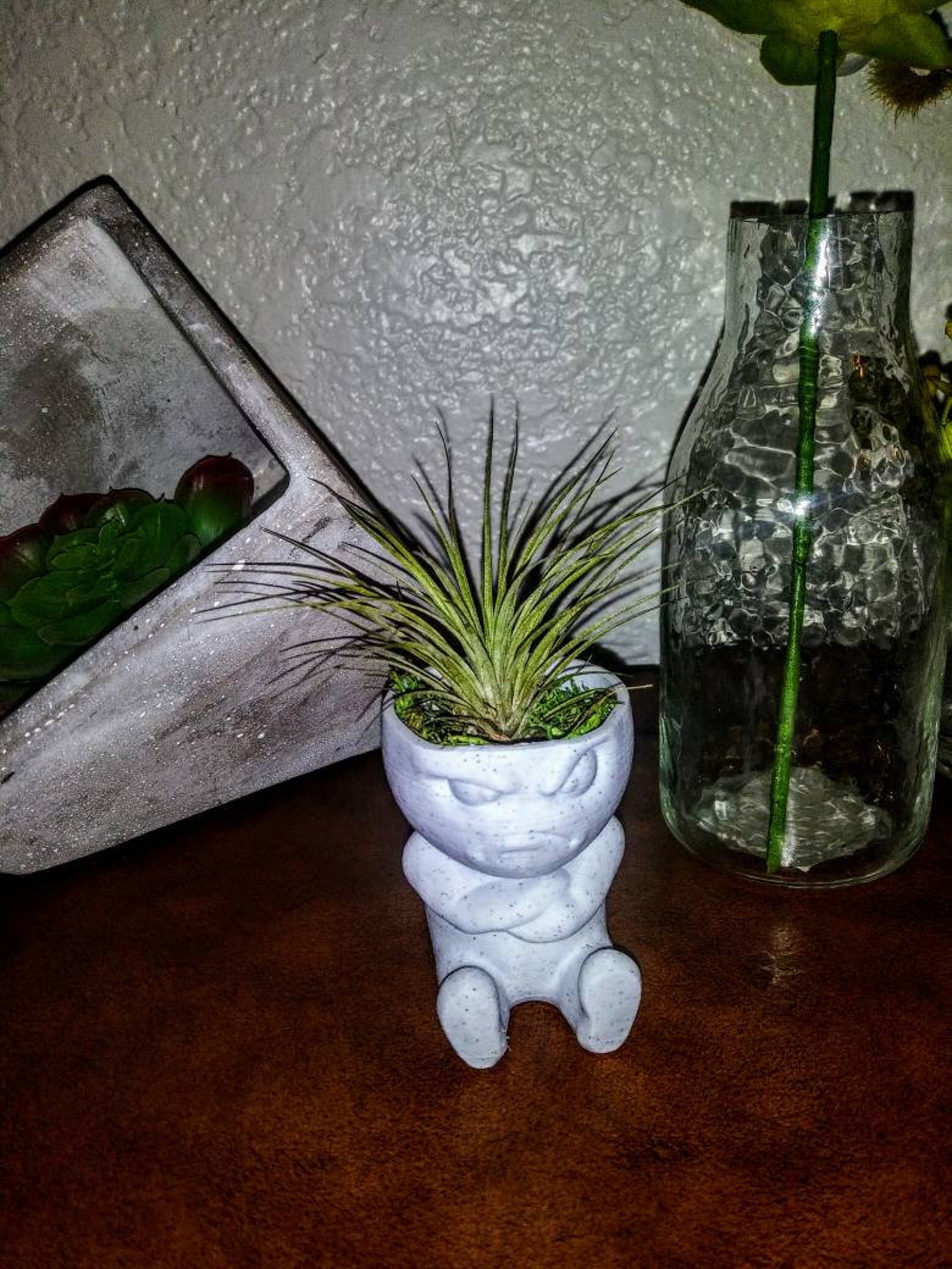 Air plant mini planter 3d printed grumpy egg succulent flower Etsy