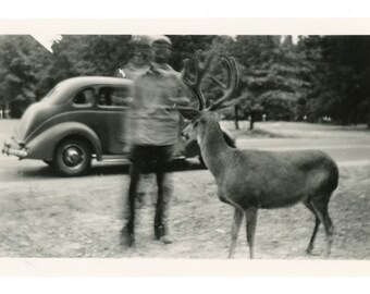 Motion Blur ~ Vintage Snapshot ~ Blurry Man with Buck Deer ~ Vintage Photo MAA3