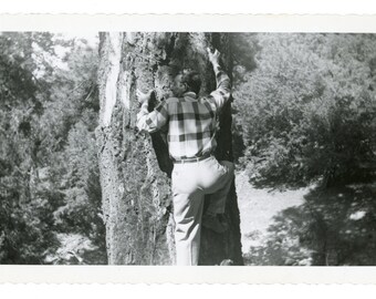 Vintage Snapshot ~ Rear View of Man Climbing a Tree ~ Vintage Photo M14