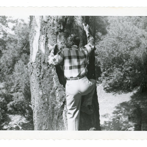 Vintage Snapshot ~ Rear View of Man Climbing a Tree ~ Vintage Photo M14