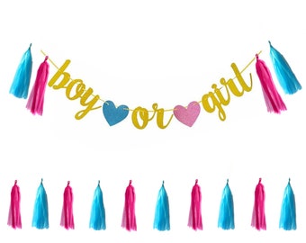 Boy or Girl Banner, Gender Reveal Decorations, Boy or Girl Baby Shower Sign, Gender Reveal Banner Ideas, Pink & Blue Tassels