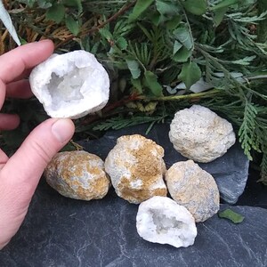 May include: A collection of six white and brown geode crystals. The crystals are various sizes and shapes. Some of the crystals are open, revealing the white quartz crystals inside.