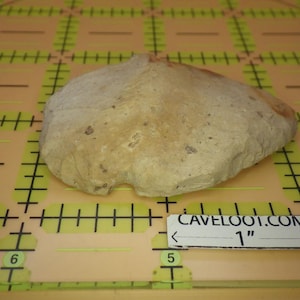May include: A light-colored, irregularly shaped stone, possibly a prehistoric tool, rests on a grid-marked surface. A label indicates a 1-inch measurement. The stone has a rough texture and varying shades of tan and brown.