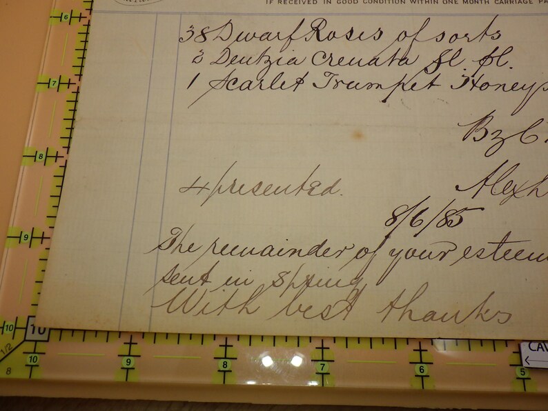 1884 Victorian Nursery Invoice Alex Dickson & Sons Roses Hunter ...