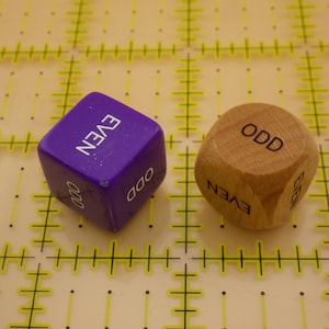 May include: A purple plastic six-sided die and a light brown wooden six-sided die. The purple die features the word EVEN in white text on the top face and ODD on the side. The wooden die features the word ODD in black text on the top face.