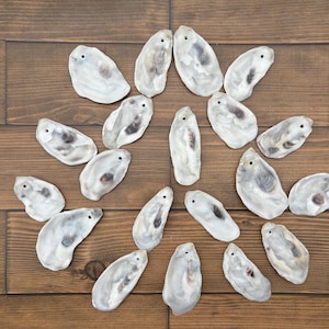Set of  Flat Drilled Cleaned Oyster Shells - Upper Sashes  - Polished Edges - Shells for Decoupage