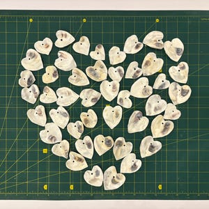 May include: A heart shape made of many small, white, and gray oyster shells on a green cutting mat.