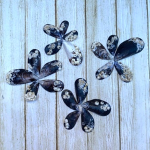 May include: Four arrangements of dark blue mussel shells, each shaped like a flower, with white barnacles attached. The shells are arranged on a light wood-grain surface, creating a natural, decorative display.