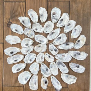 May include: A collection of 25 white oyster shells arranged in a spiral pattern on a wooden surface. The shells are all different sizes and shapes, and some have a slight iridescent sheen.