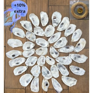 May include: A collection of white and grey oyster shells, each featuring a small pre-drilled hole for crafting. The set includes a bonus coil of thin gold-toned wire labeled as a free gift and a graphic overlay stating +10% extra.
