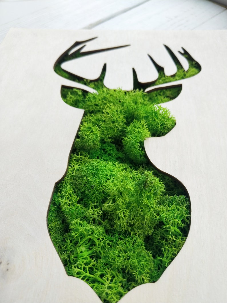 Panel with stabilized moss wall decor Picture with Etsy
