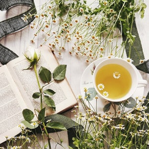 May include: A white rose with green leaves and a book with the title "Cranford" open on a white wooden surface. A cup of tea with a yellow liquid and a white daisy floating in it sits on a floral patterned saucer. The scene is surrounded by white daisies.