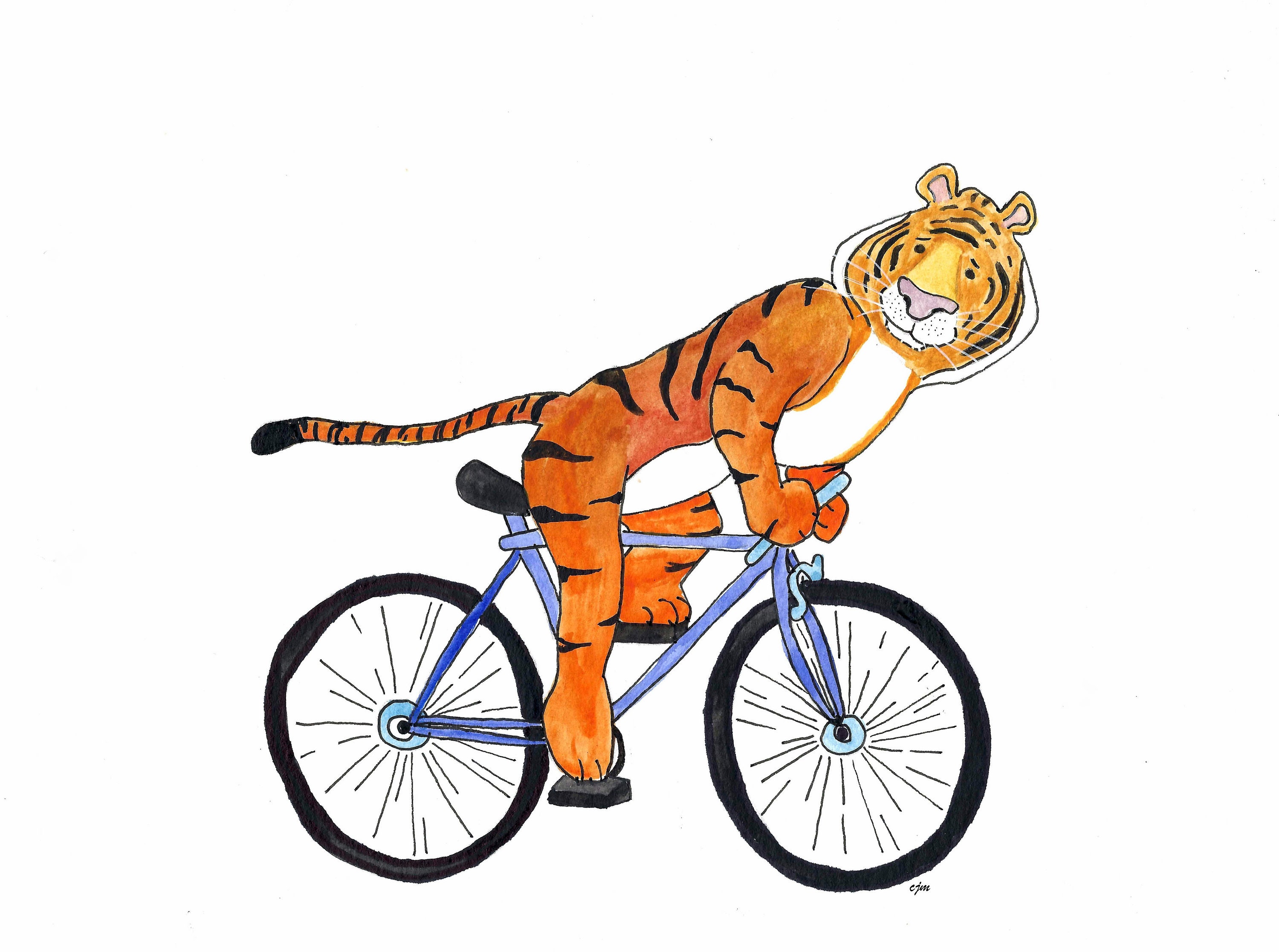 tiger sports bike
