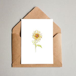 Sunflower Bontanical Greeting Cards- Set of 3 or 5. Flowers, Botany, Botanical, Watercolour, Gift Cards, Handmade