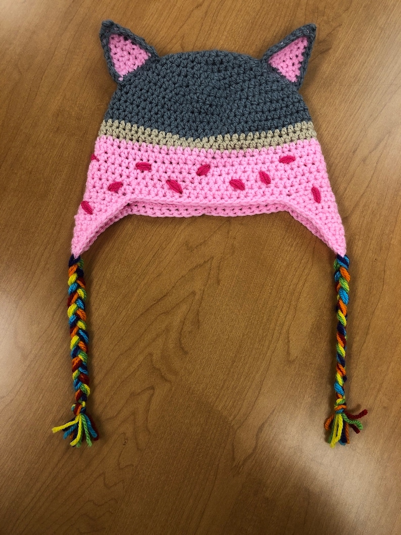 May include: Gray and pink crocheted hat with cat ears and colorful braided ties.