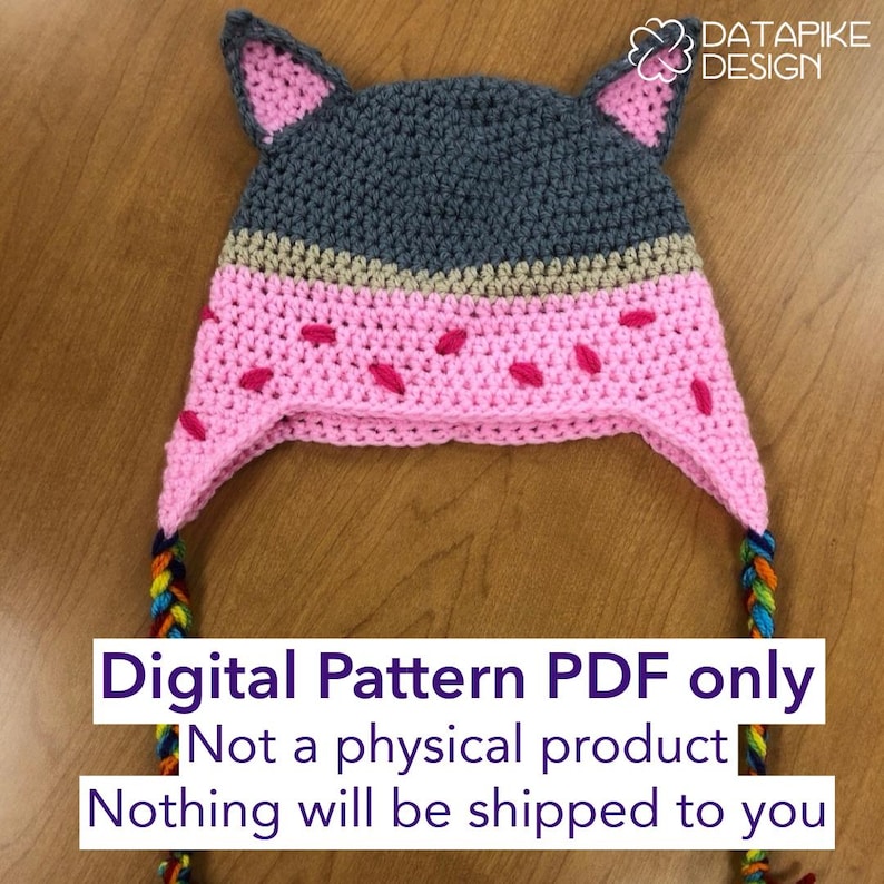 Rainbow Poptart Nyan Cat Hat Crochet Pattern PDF DIGITAL DOWNLOAD image 1