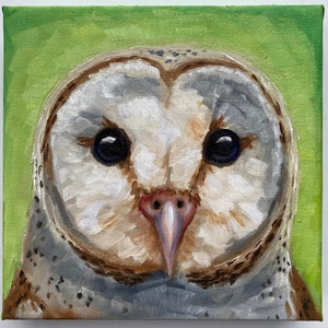 Original oil Painting Barn Owl