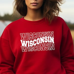 Wisconsin Crewneck Sweatshirt, Wisconsin Sweatshirt, Wisconsin Shirt, Wisconsin Gift, WI Unisex Crewneck Sweatshirt, Wisconsin Gift