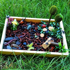 Garden Bugs Sensory Science Bin/ Bug Discovery Box/ Montessori Learning w/Open Ended Pretend Play/Reggio Spring Loose Parts Tray image 9