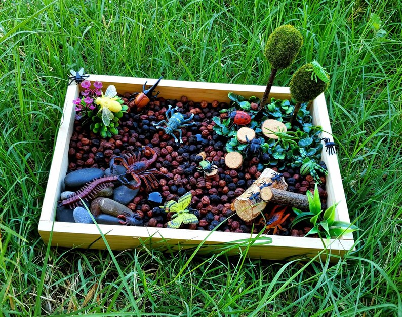 Garden Bugs Sensory Science Bin/ Bug Discovery Box/ Montessori Learning w/Open Ended Pretend Play/Reggio Spring Loose Parts Tray image 9