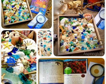 Sea of Treasure Ocean Sensory Bin with Tools Material and Resources  Earth Science Ocean Study for Early Educators & Pirates