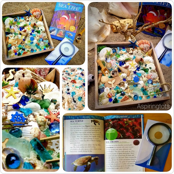 Ocean Theme Sensory Table And Trays – The Little Montessori House