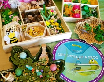 Classroom Edition Spring Loose Parts Tray, Light Table Translucent Math Manipulatives, Sensory Bin, & Frog Life Cycle, Waldorf Nature Table