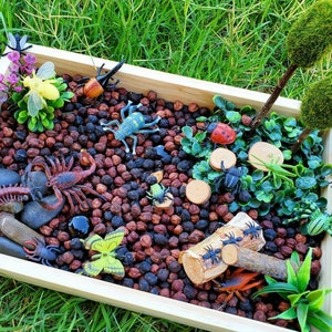 Garden Bugs Sensory Science Bin/ Bug Discovery Box/ Montessori Learning w/Open Ended Pretend Play/Reggio Spring Loose Parts Tray image 6