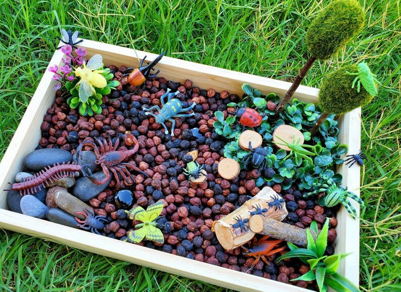 Garden Bugs Sensory Science Bin/ Bug Discovery Box/ Montessori Learning w/Open Ended Pretend Play/Reggio Spring Loose Parts Tray image 6