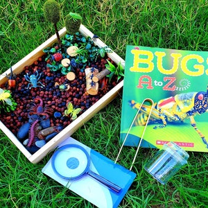 Garden Bugs Sensory Science Bin/ Bug Discovery Box/ Montessori Learning w/Open Ended Pretend Play/Reggio Spring Loose Parts Tray image 7