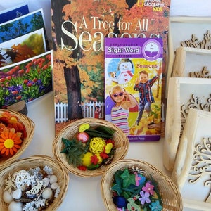 Classroom Edition Seasons Tree Loose Parts Learning Activity/ Reggio inspired Seasonal Work/ Montessori& Waldorf Season Lesson/ Nature Table