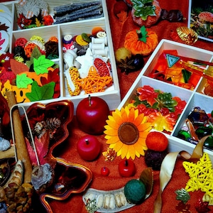 Fall Reggio Emilia Inspired Loose Parts Light Table Toy Sensory Bin Montessori Math Manipulatives Memory Match Waldorf Autumn Nature Table