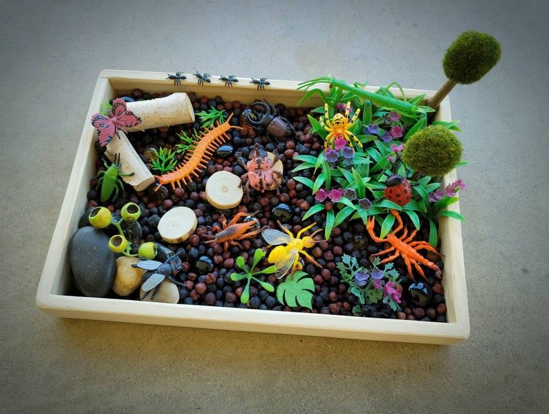 Garden Bugs Sensory Science Bin/ Bug Discovery Box/ Montessori Learning w/Open Ended Pretend Play/Reggio Spring Loose Parts Tray image 3