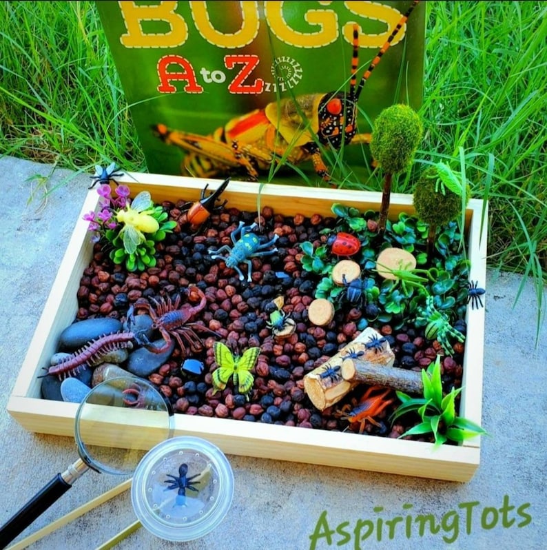 Garden Bugs Sensory Science Bin/ Bug Discovery Box/ Montessori Learning w/Open Ended Pretend Play/Reggio Spring Loose Parts Tray image 4