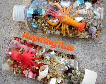 Small Ocean Sensory Bottle/ Under the Sea Quiet Time Redirect Calm Bottle/ Play Aquarium/ Paperweight Fidget Desk Toy Gift Idea/ Ocean Study