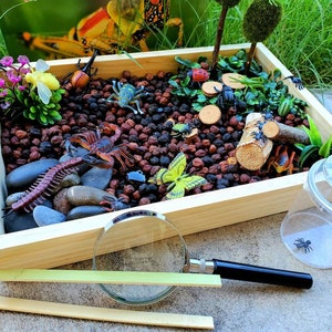 Garden Bugs Sensory Science Bin/ Bug Discovery Box/ Montessori Learning w/Open Ended Pretend Play/Reggio Spring Loose Parts Tray image 10