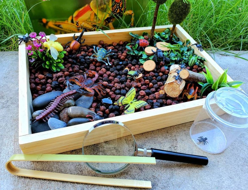 Garden Bugs Sensory Science Bin/ Bug Discovery Box/ Montessori Learning w/Open Ended Pretend Play/Reggio Spring Loose Parts Tray image 10