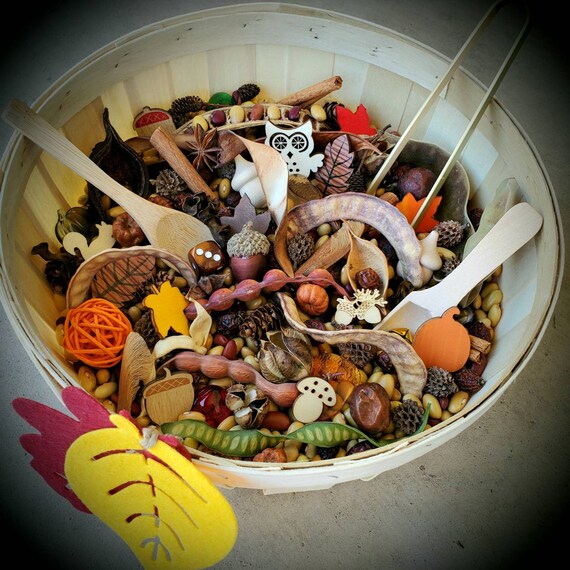 Acorn Sensory Tray, Fall sensory kit, Autumn sensory box, kids wood