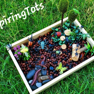 Garden Bugs Sensory Science Bin/ Bug Discovery Box/ Montessori Learning w/Open Ended Pretend Play/Reggio Spring Loose Parts Tray image 8